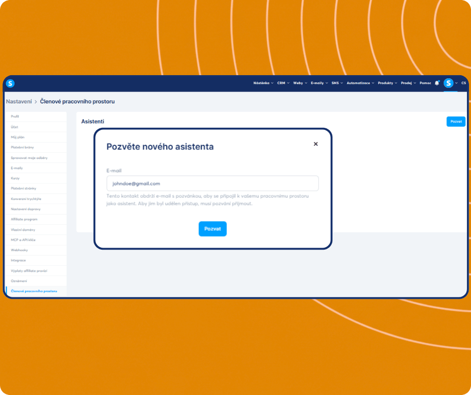 Invite assistant modal in systeme.io workspace settings allowing users to add team members by email and grant access to their account.