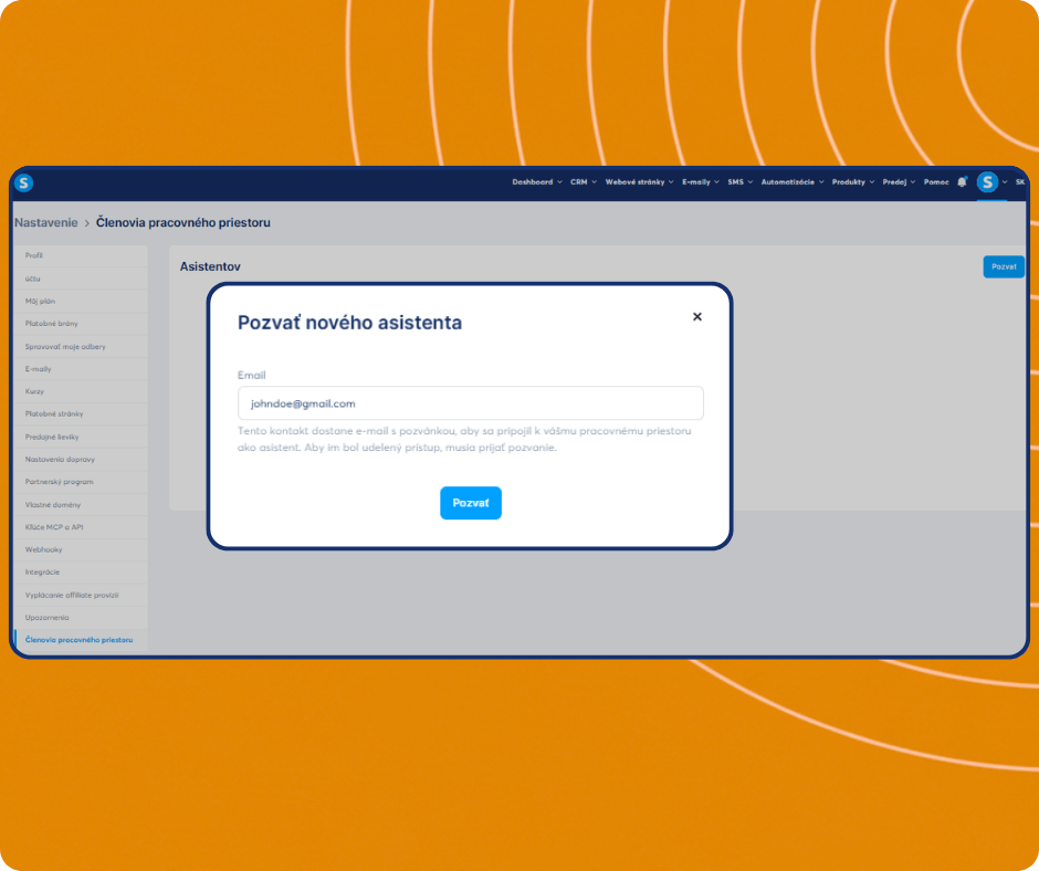 Invite assistant modal in systeme.io workspace settings allowing users to add team members by email and grant access to their account.