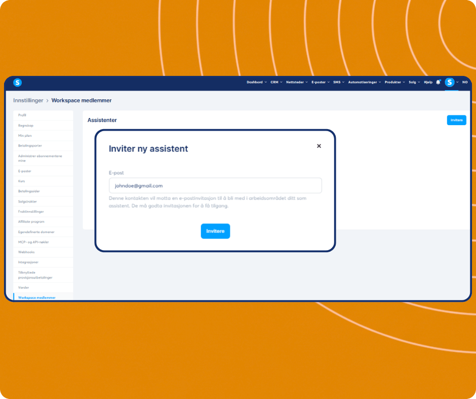 Invite assistant modal in systeme.io workspace settings allowing users to add team members by email and grant access to their account.
