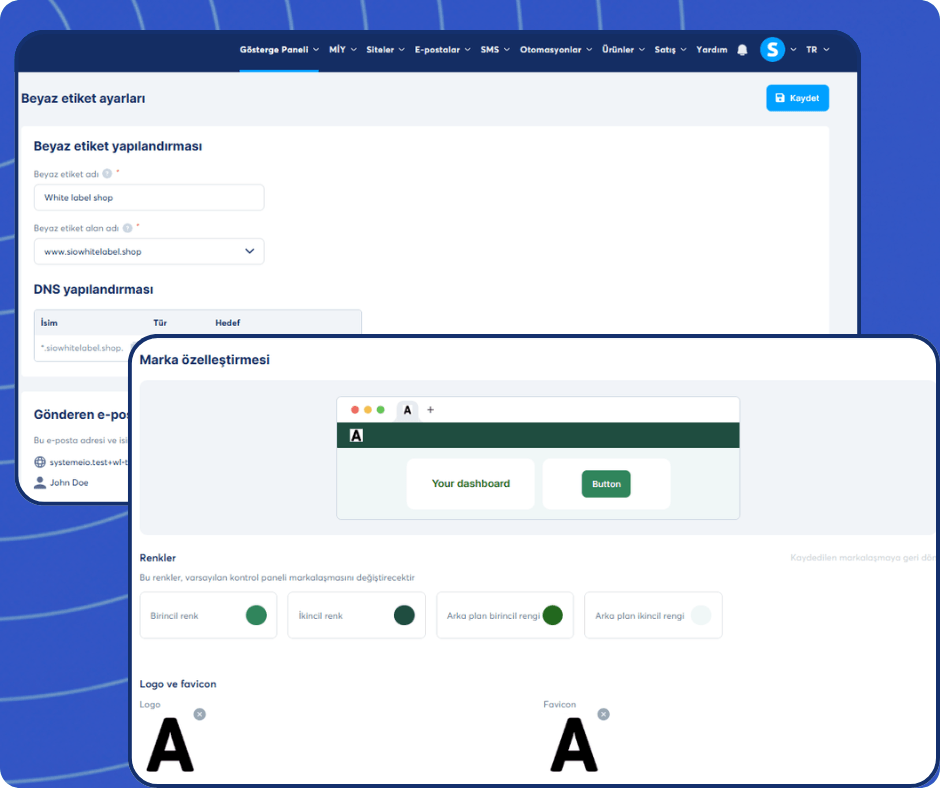 systeme.io white label settings dashboard showing brand customization, domain setup, DNS configuration, and logo personalization options