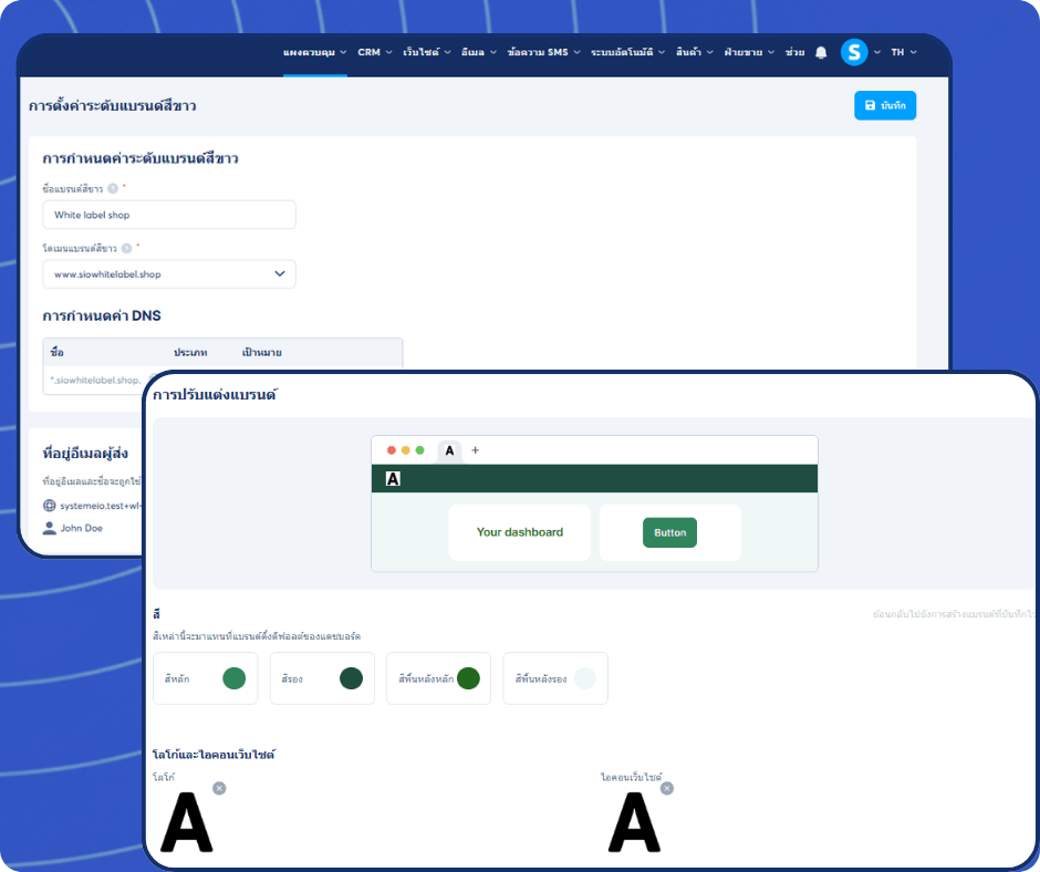 systeme.io white label settings dashboard showing brand customization, domain setup, DNS configuration, and logo personalization options