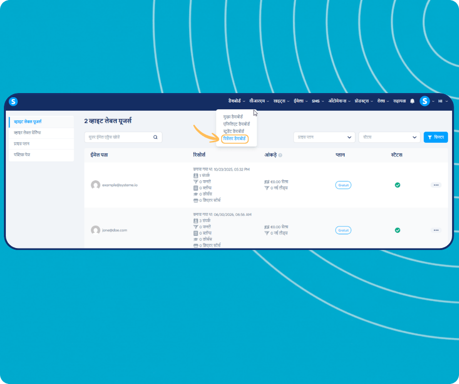 systeme.io white label dashboard showing subaccount management, agency dashboard selection, and user statistics for leads, funnels, and sales