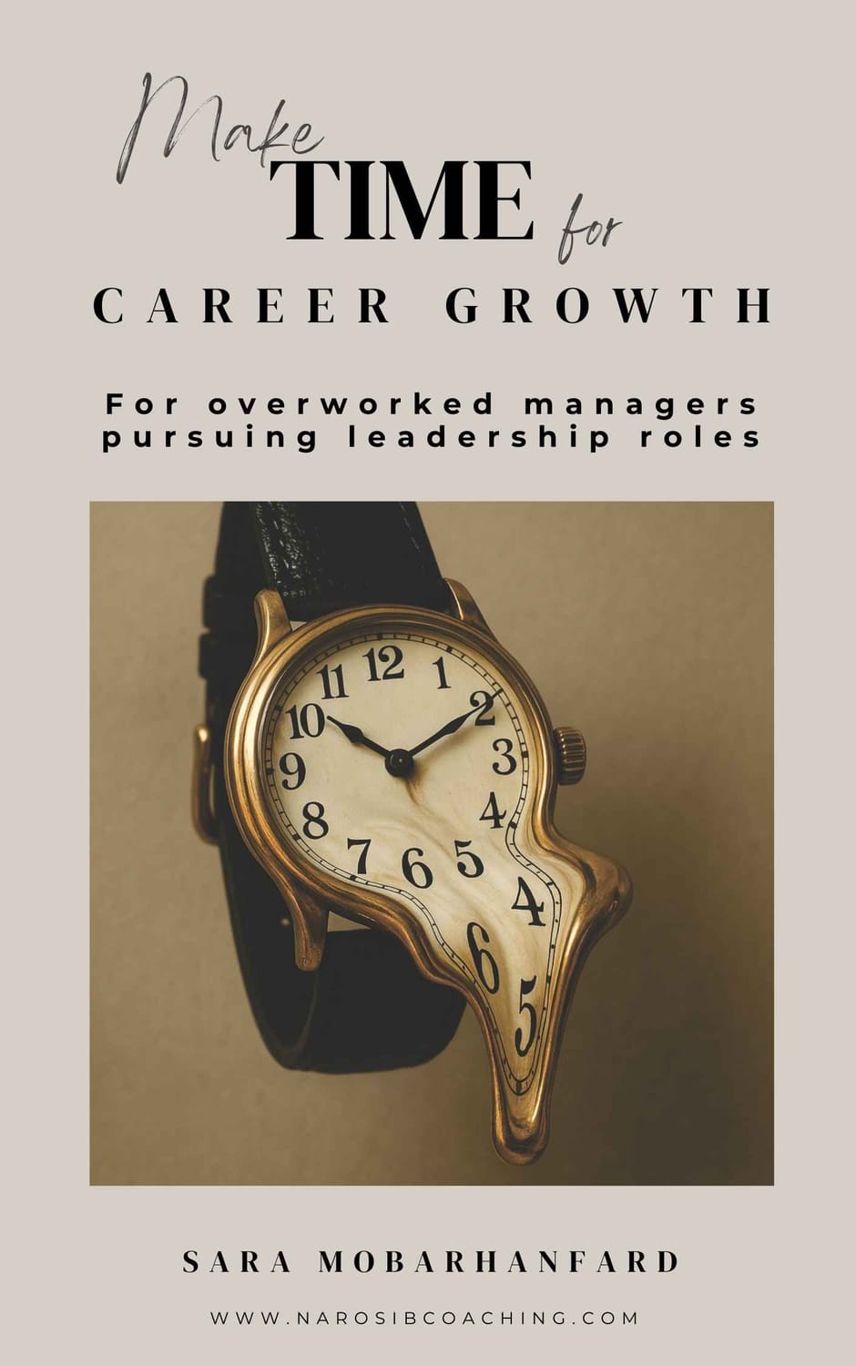 Ebook productivity performance time management for corporate professionals 