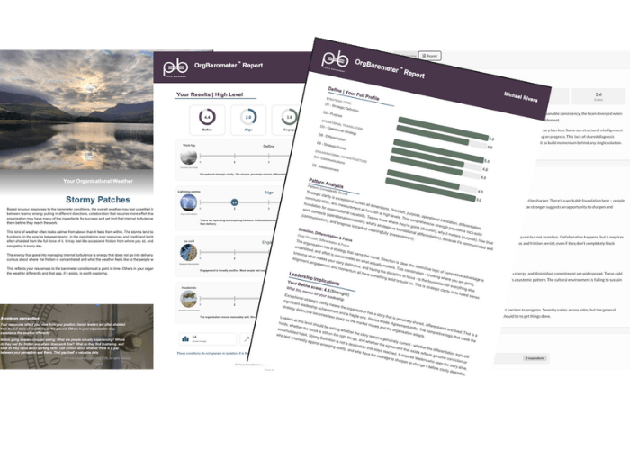 OrgBarometer™ Report