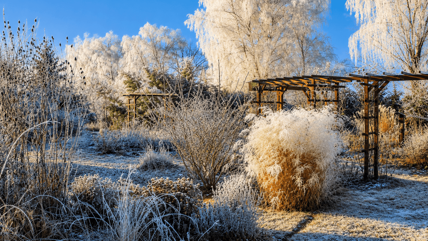 Fall garden with winter interest and standing perennials