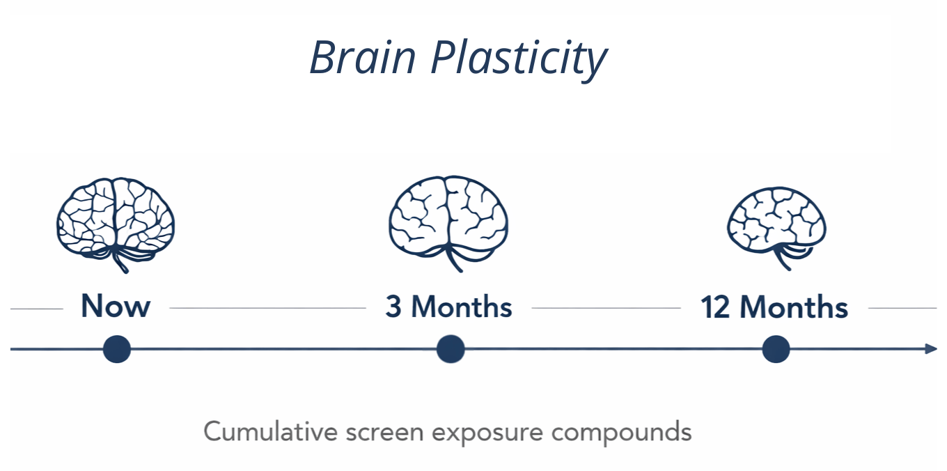 Brain plasticity window shrinking over time with cumulative screen exposure