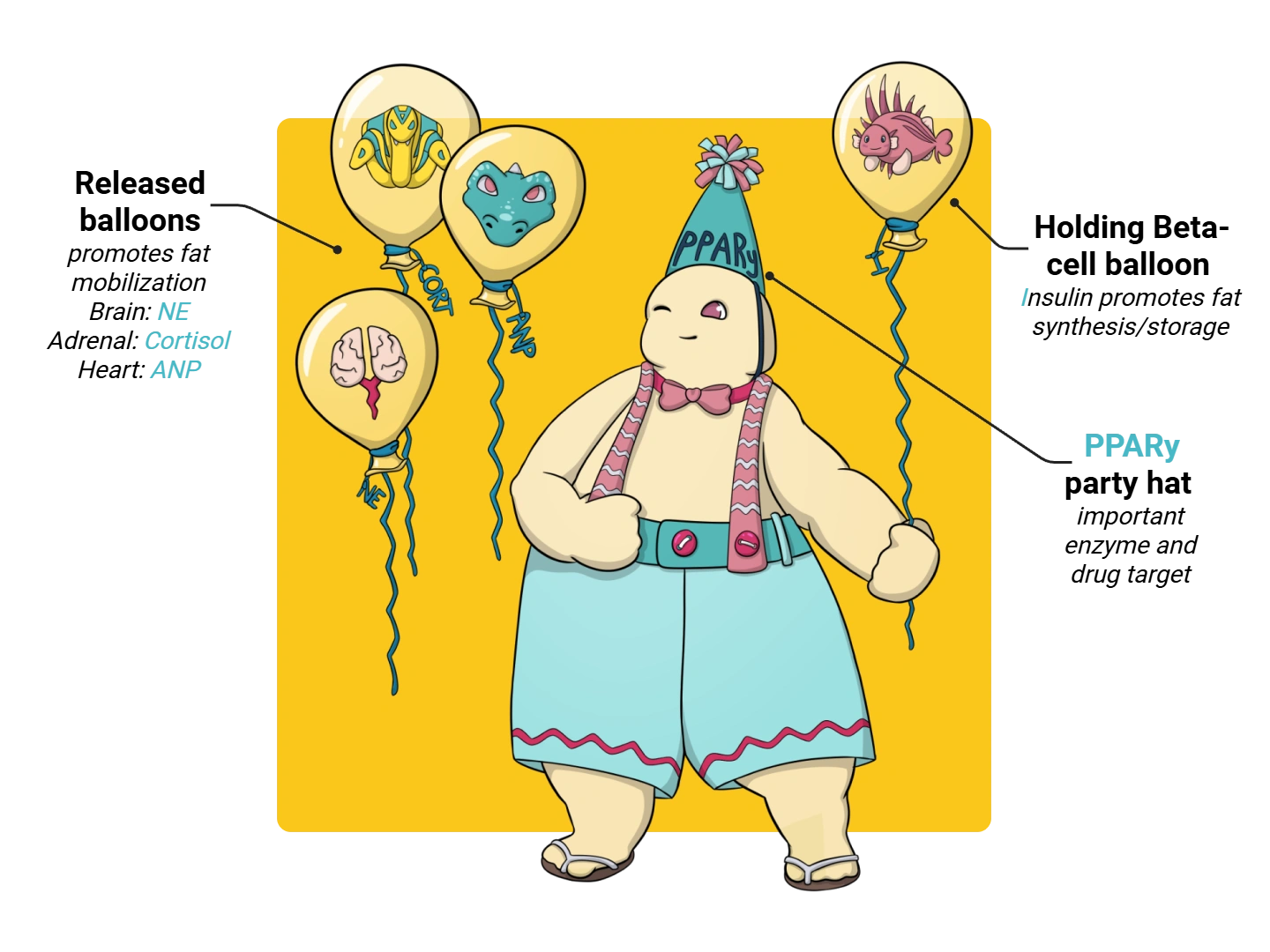 Fat Medimon infographic with labeled medical features and mnemonic annotations.