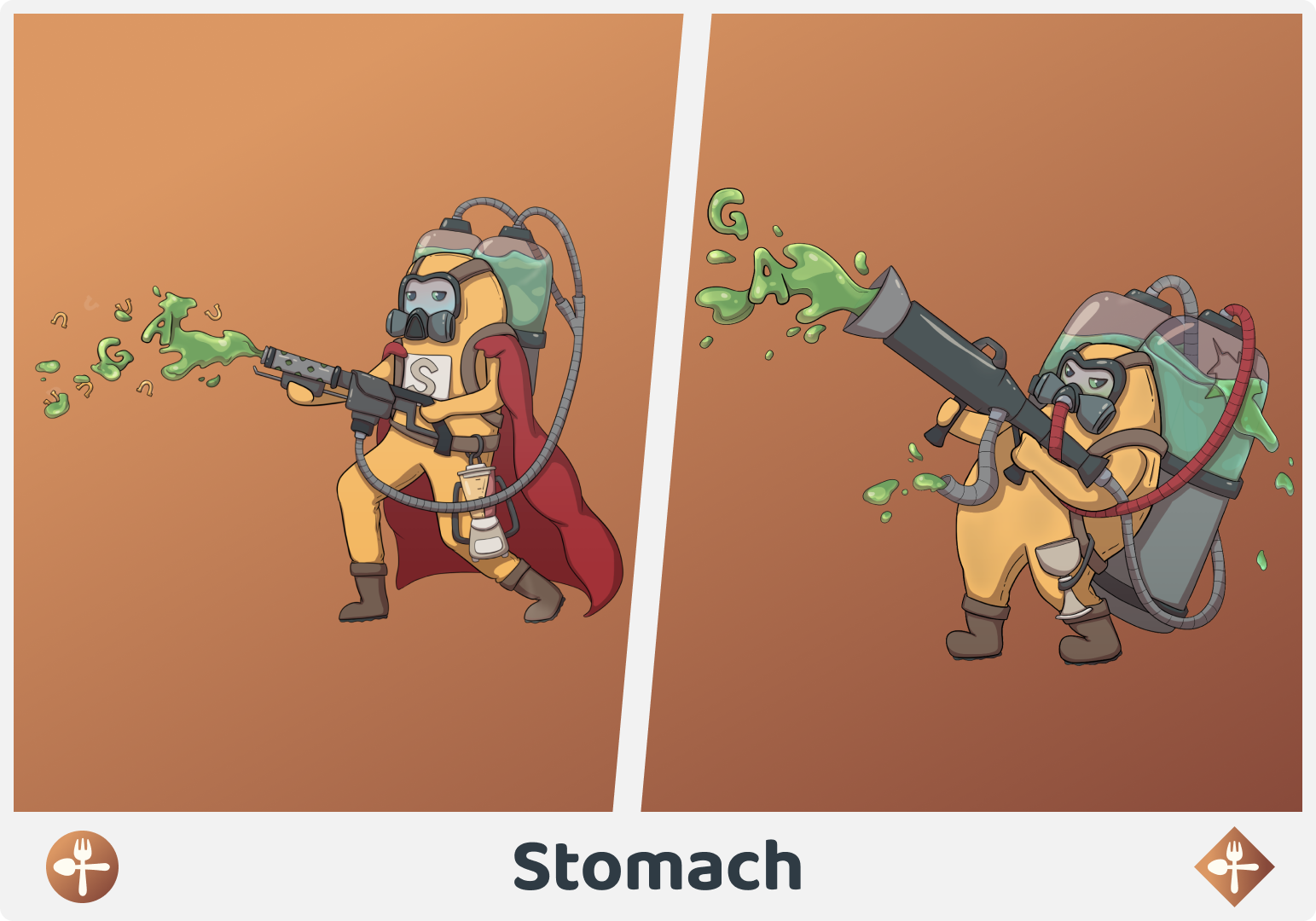 View the Stomach Medifamily.