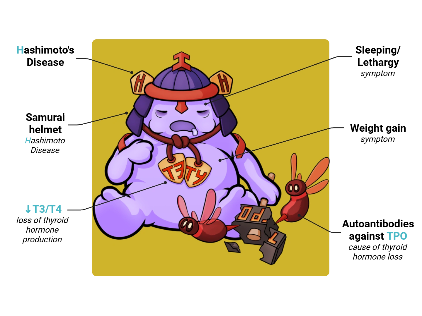 Hashimoto Disease Medimon infographic with labeled medical features and mnemonic annotations.