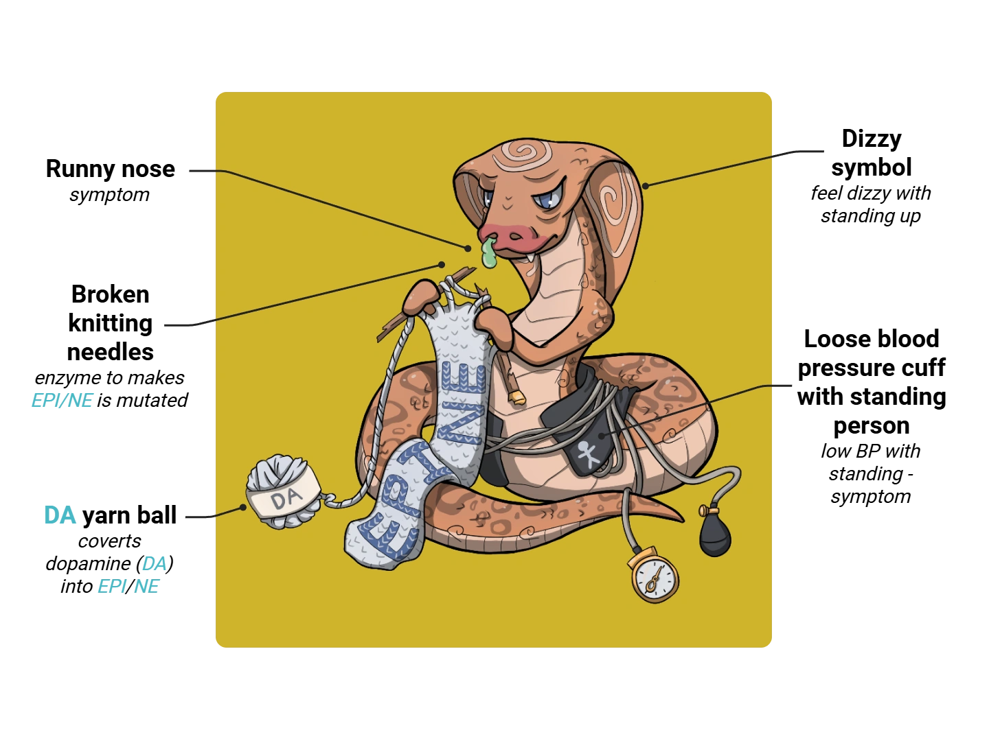 DBH Deficiency Medimon infographic with labeled medical features and mnemonic annotations.