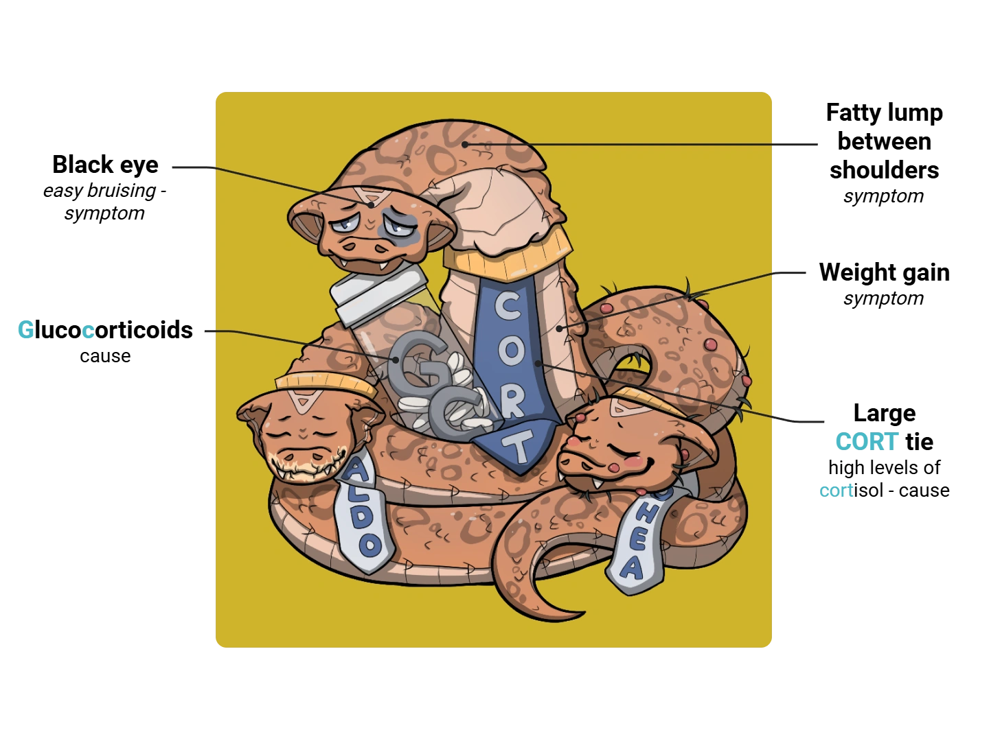 Cushing Syndrome Medimon infographic with labeled medical features and mnemonic annotations.