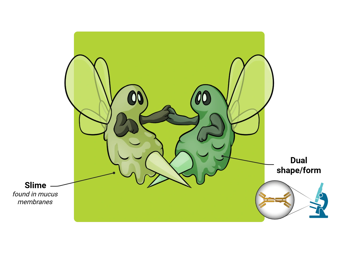 IgA Medimon infographic with labeled medical features and mnemonic annotations.