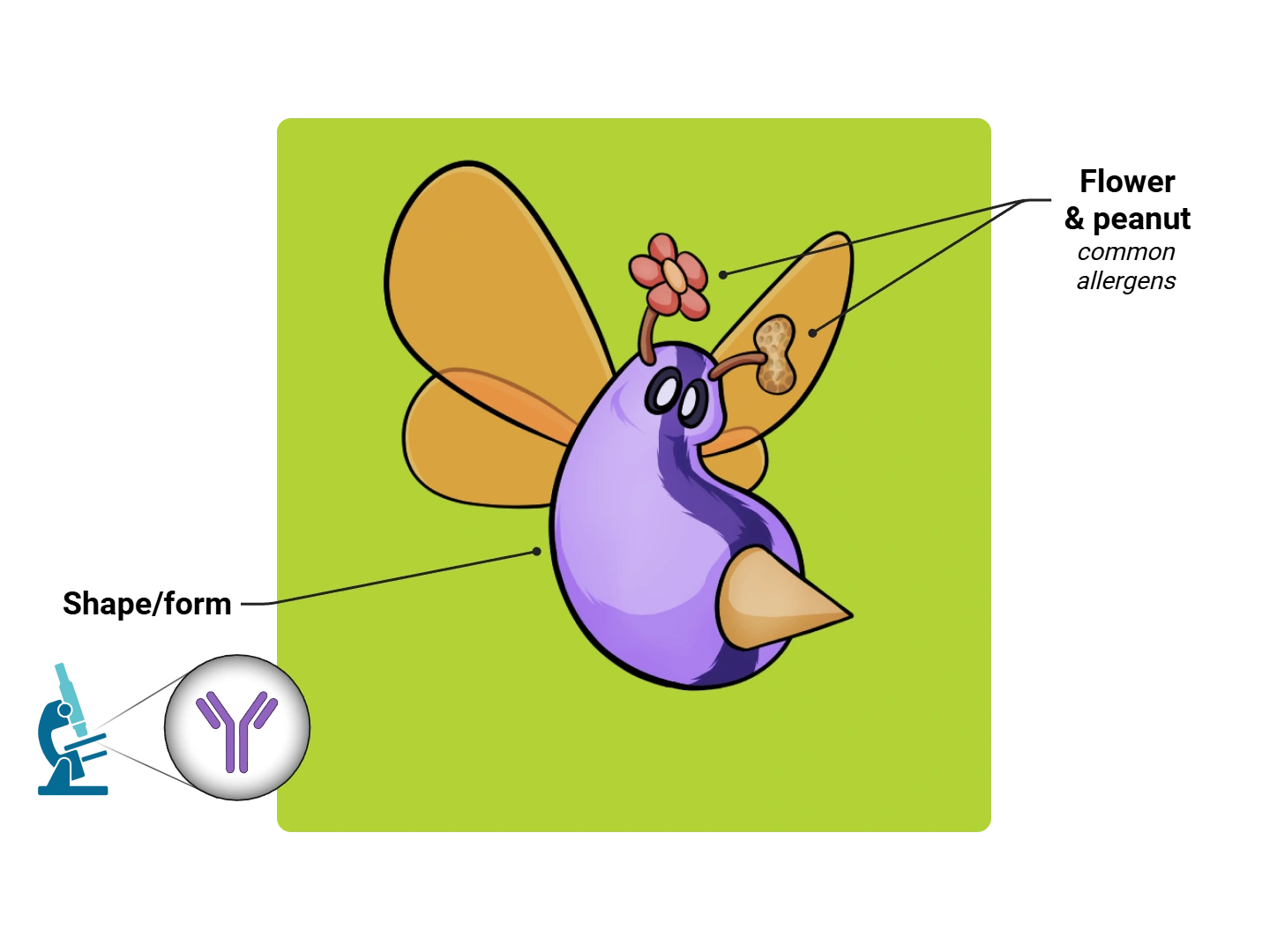 IgE Medimon infographic with labeled medical features and mnemonic annotations.