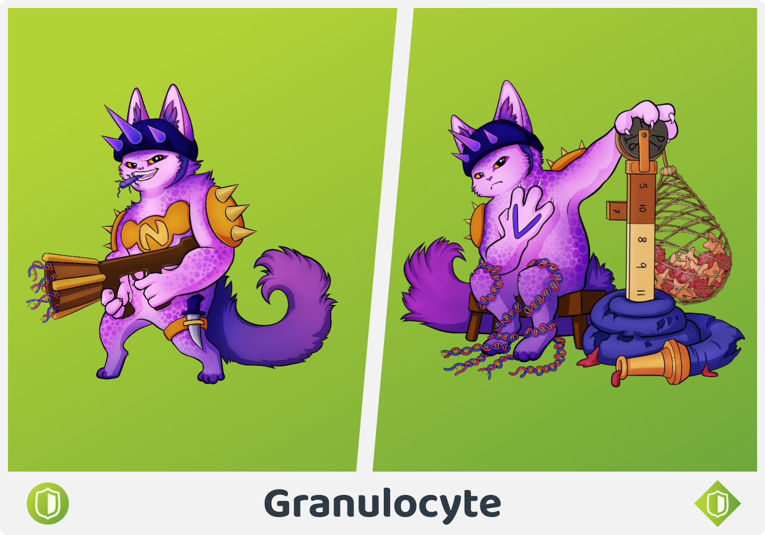 Granulocyte Medifamily | Medimon