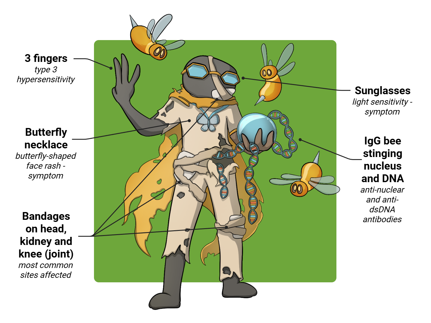 Lupus Medimon infographic with labeled medical features and mnemonic annotations.