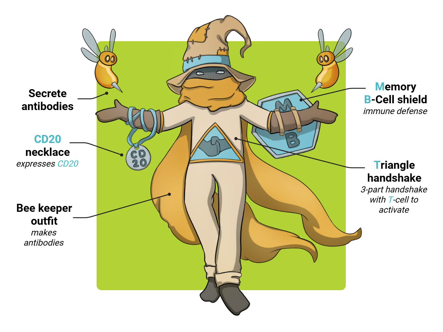 Memory B-Cell Medimon infographic with labeled medical features and mnemonic annotations.