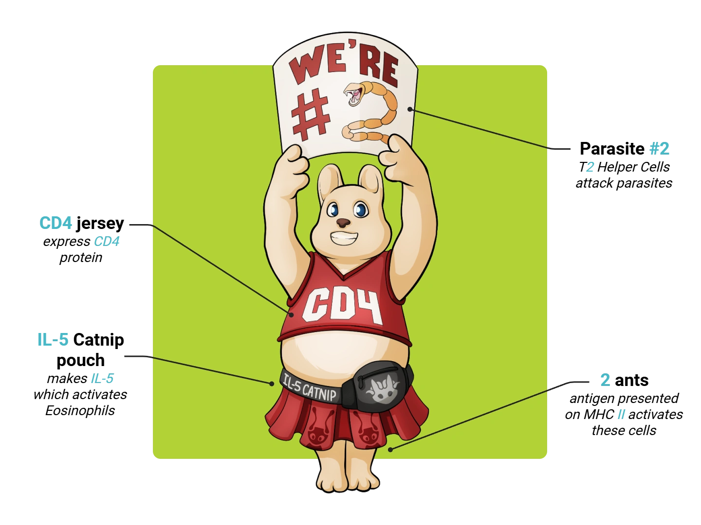 Helper T2 Medimon infographic with labeled medical features and mnemonic annotations.