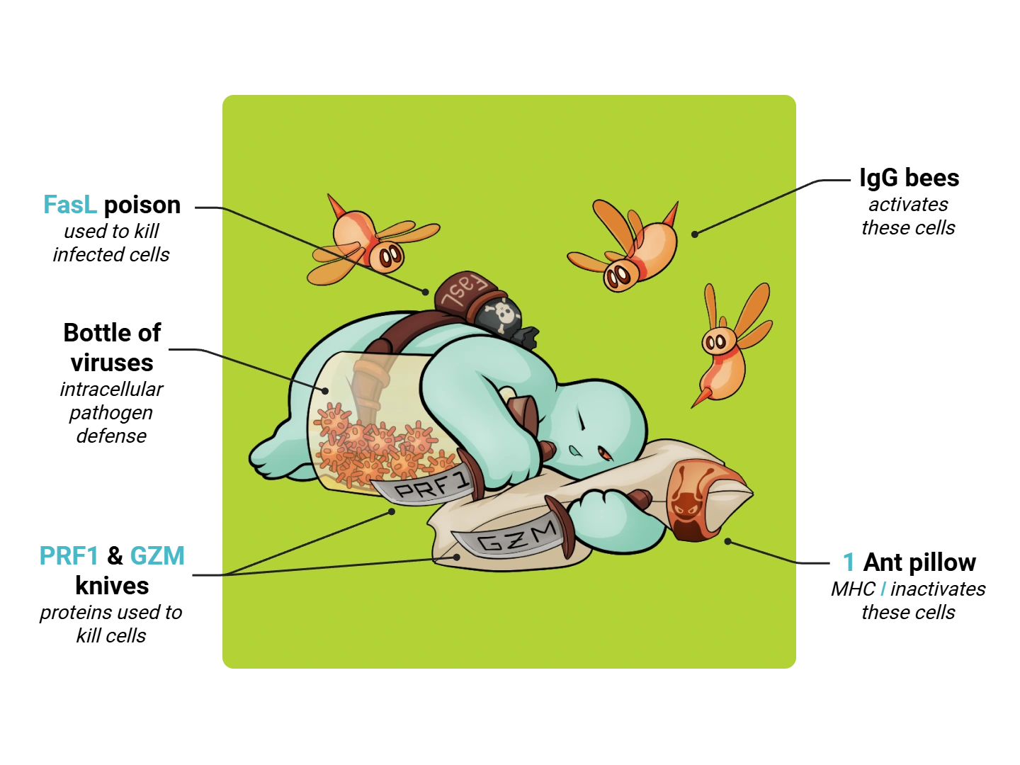 Natural Killer Cell Medimon infographic with labeled medical features and mnemonic annotations.