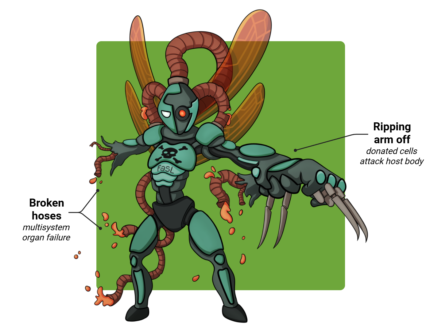 Gravt vs. Host Medimon infographic with labeled medical features and mnemonic annotations.