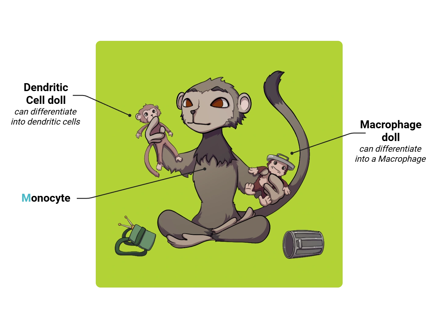 Monocyte Medimon infographic with labeled medical features and mnemonic annotations.