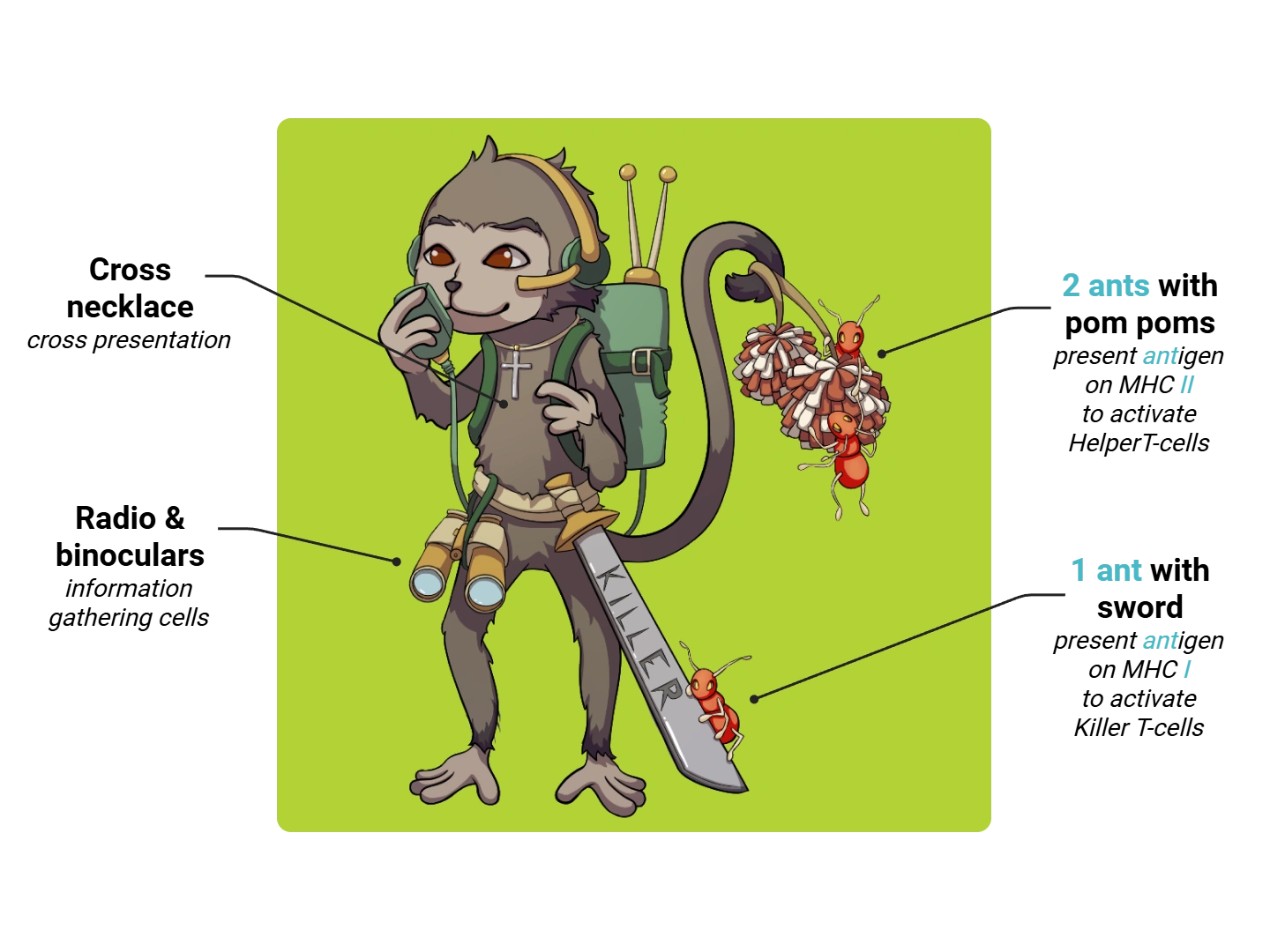 Dendritic Cell Medimon infographic with labeled medical features and mnemonic annotations.