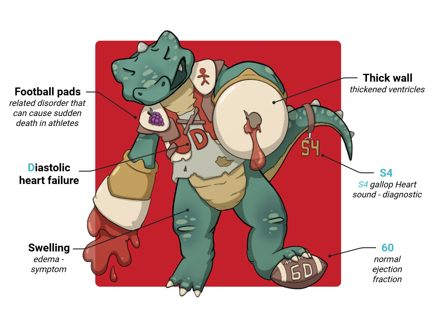 Diastolic Heart Failure Medimon infographic with labeled medical features and mnemonic annotations.