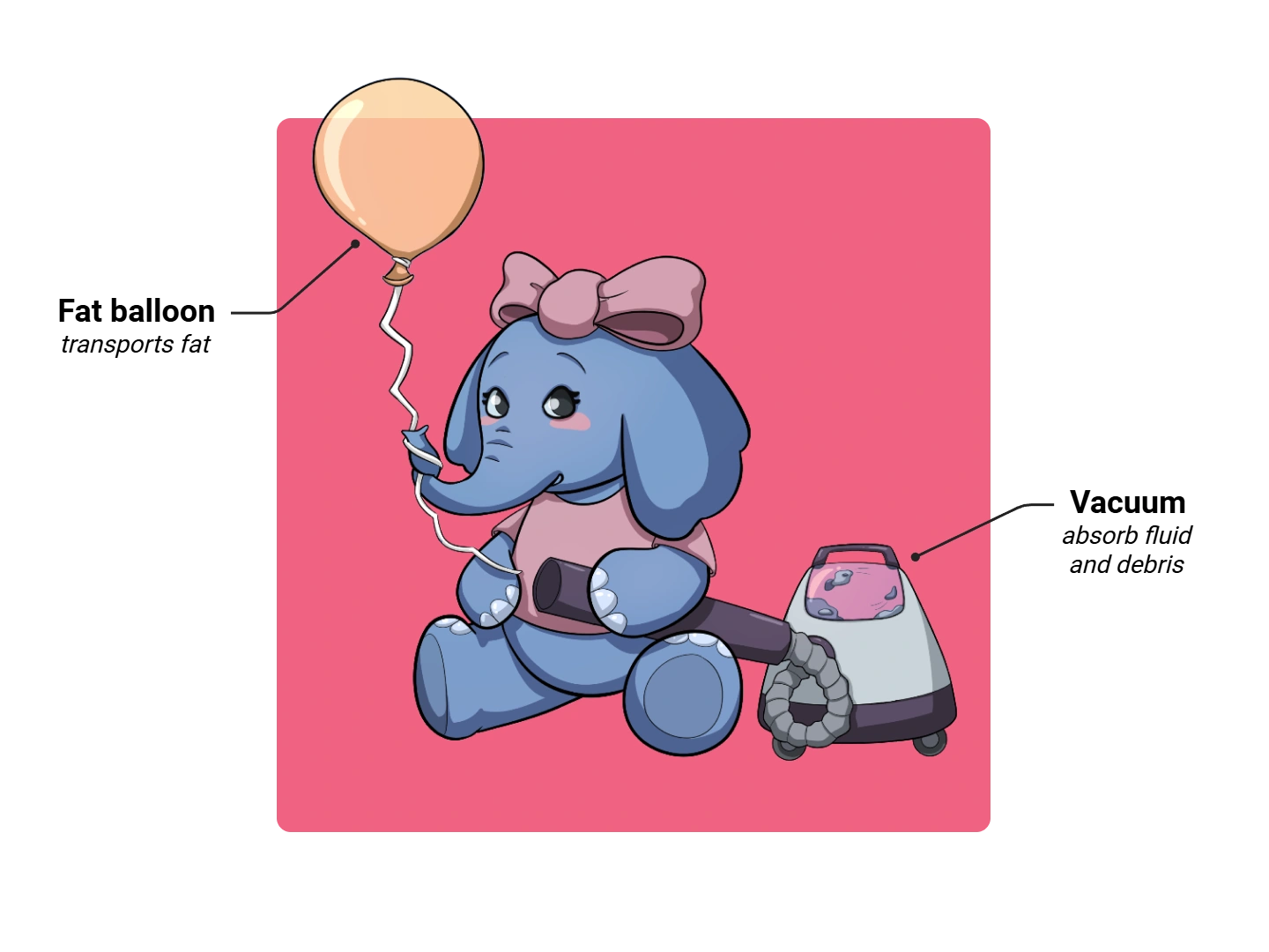 Lymphatic Capillary Medimon infographic with labeled medical features and mnemonic annotations.