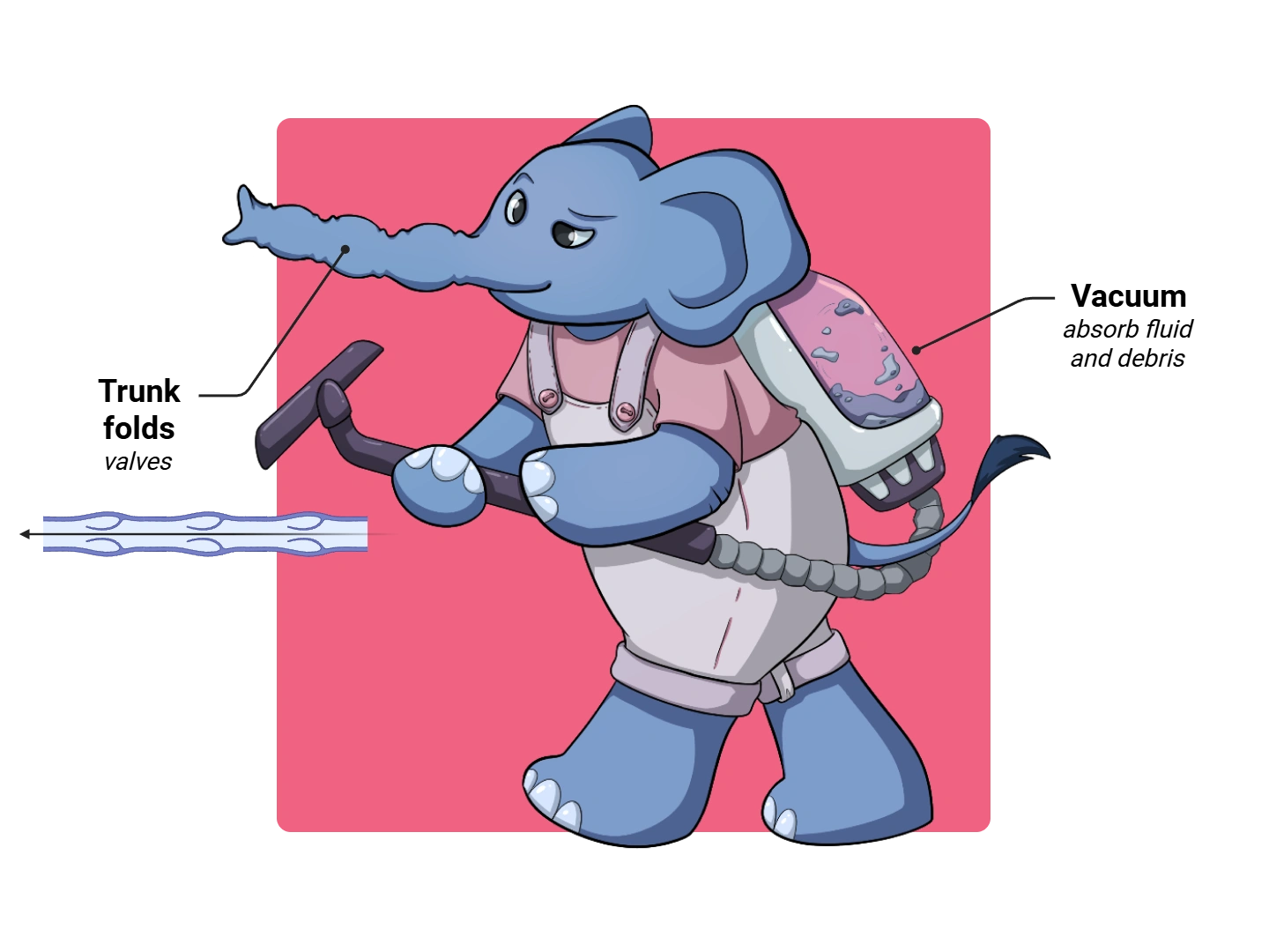 Lymphatic Vessel Medimon infographic with labeled medical features and mnemonic annotations.