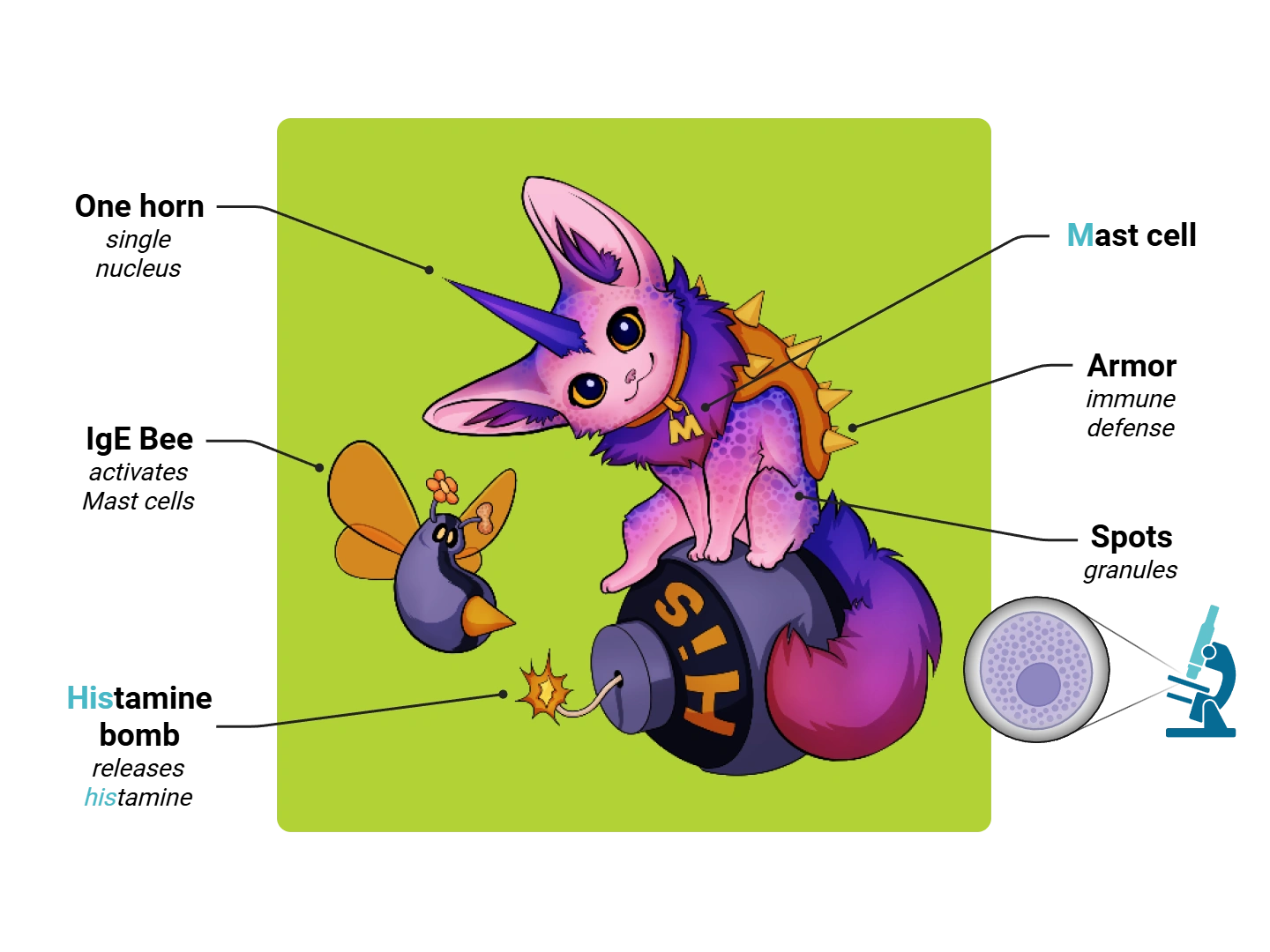 Mast Cells Medimon infographic with labeled medical features and mnemonic annotations.