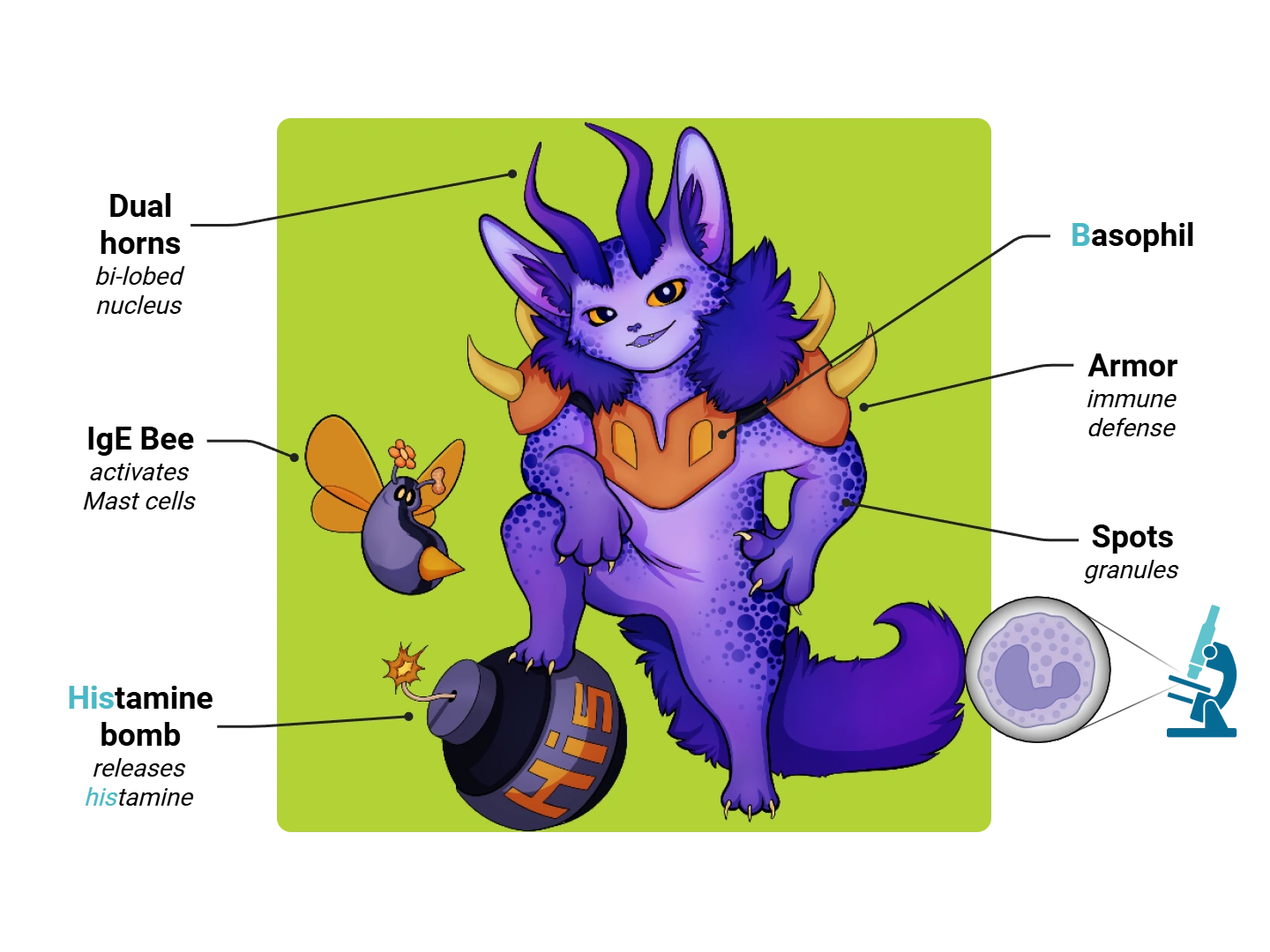 Adrenal Gland Medimon infographic with labeled medical features and mnemonic annotations.