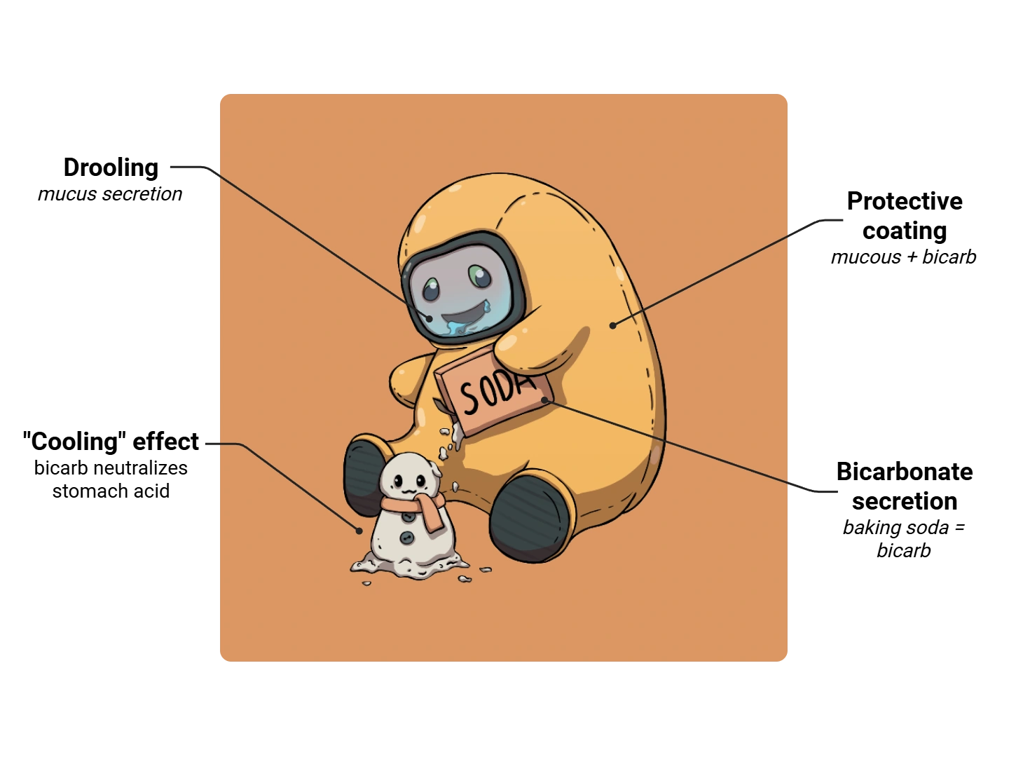 Mucous Cell Medimon infographic with labeled medical features and mnemonic annotations.