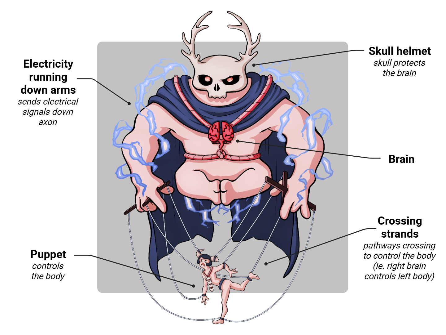 Brain Medimon infographic with labeled medical features and mnemonic annotations.