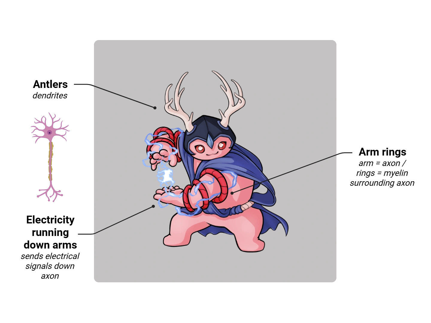 Neuron Medimon infographic with labeled medical features and mnemonic annotations.