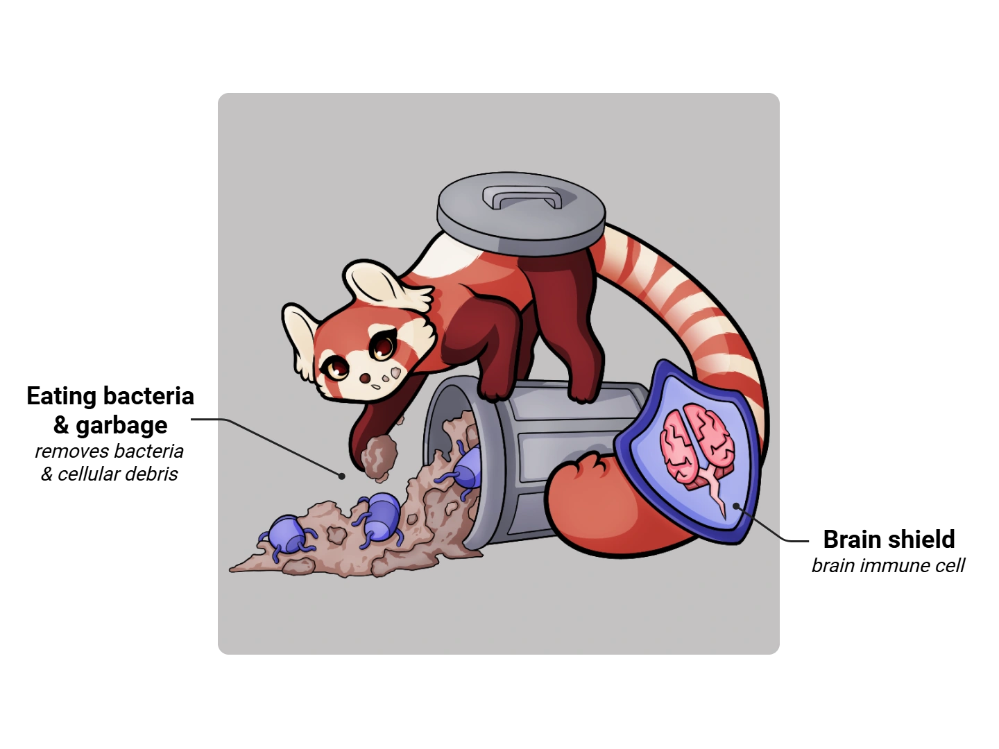 Microglia Medimon infographic with labeled medical features and mnemonic annotations.