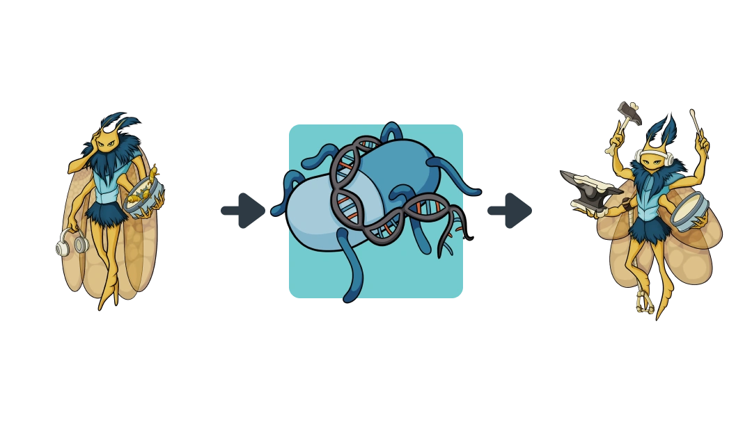 Treatment diagram of Ofloxacin converting Ruptured Ear Drum into Middle Ear.