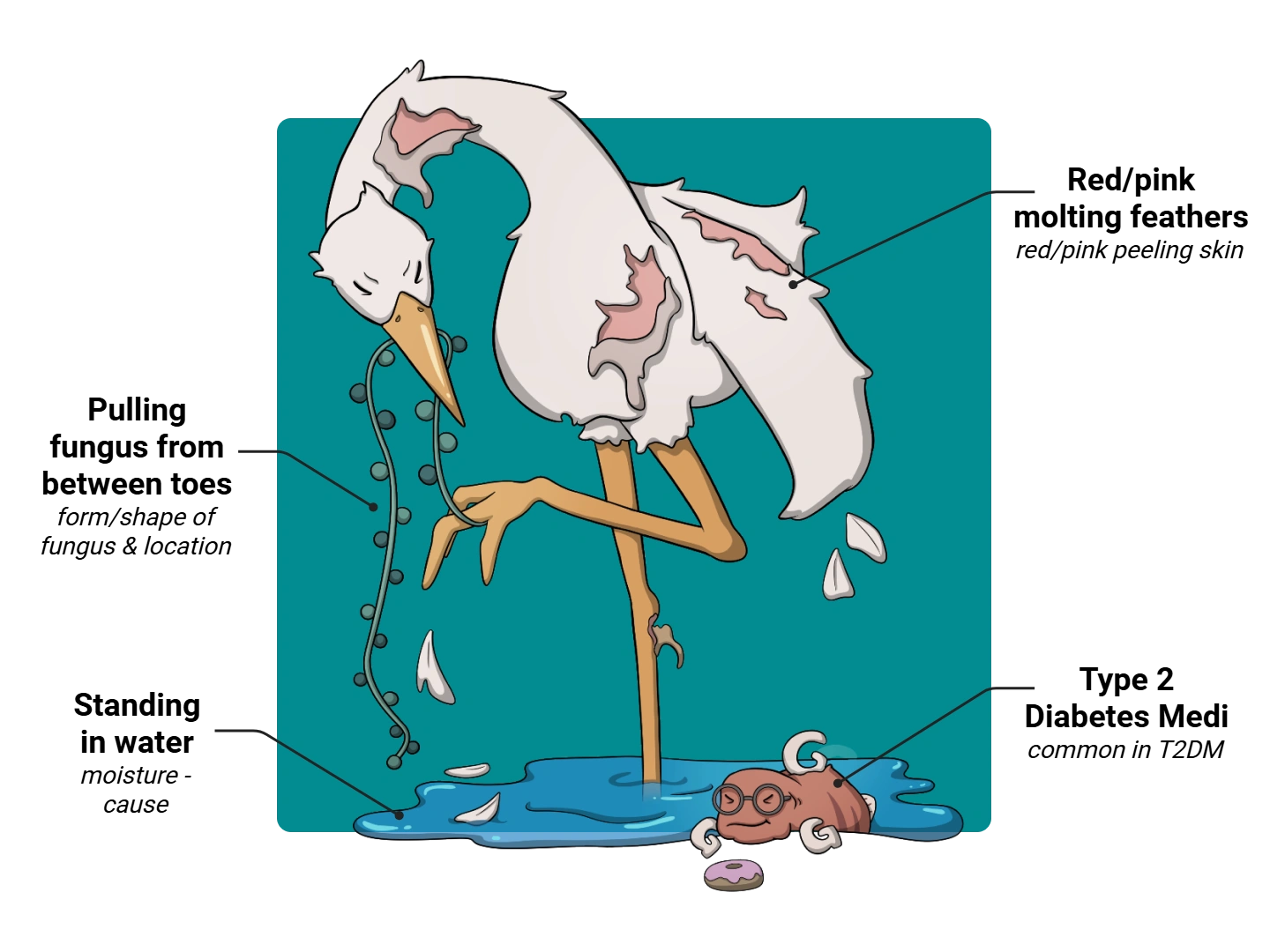 Athlete's Foot Medimon infographic with labeled medical features and mnemonic annotations.