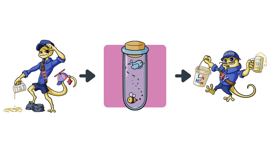 Treatment diagram of Testosterone converting Klinefelter Syndrome into Leydig Cell.