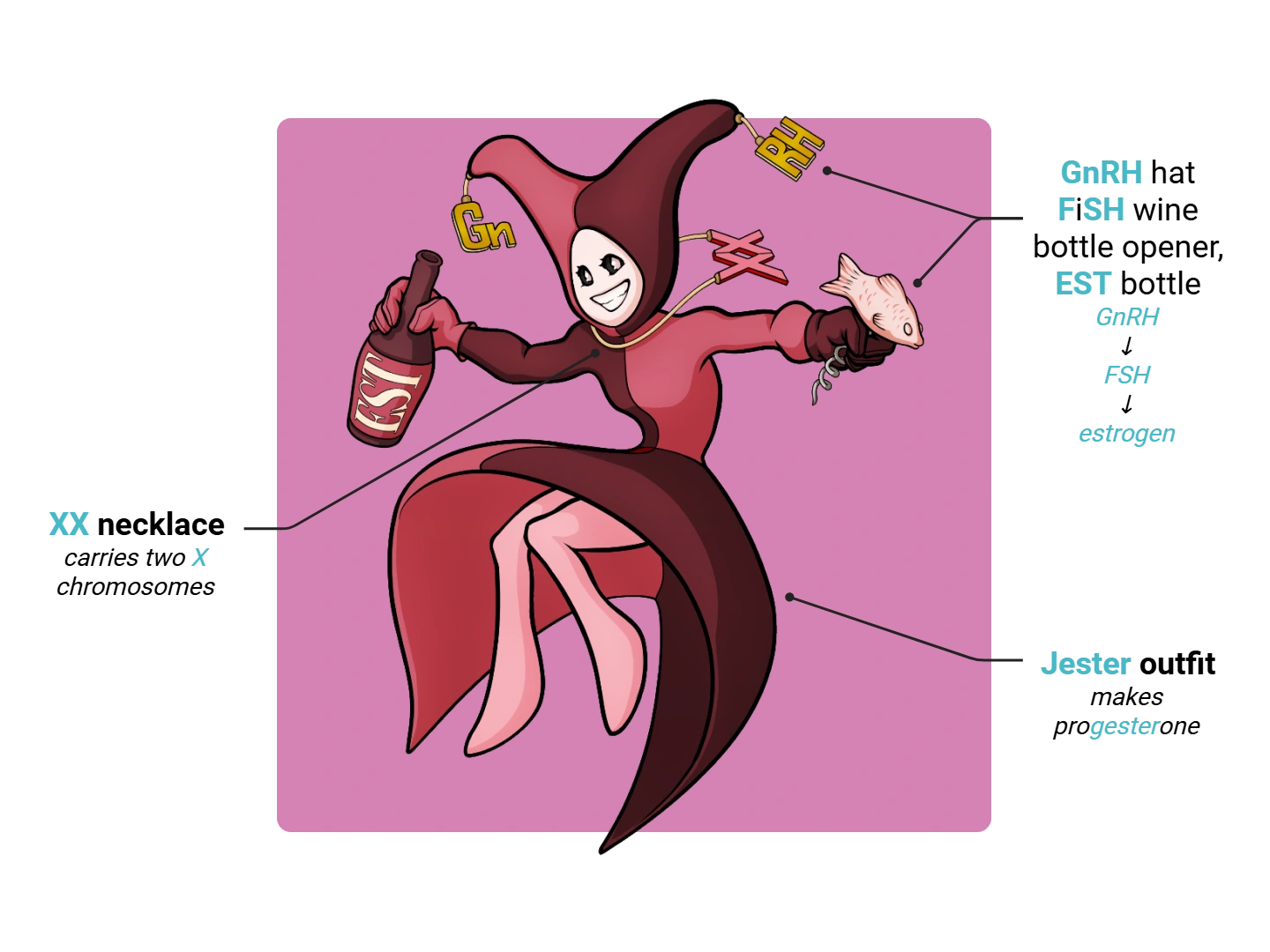 Granulosa Cell Medimon infographic with labeled medical features and mnemonic annotations.