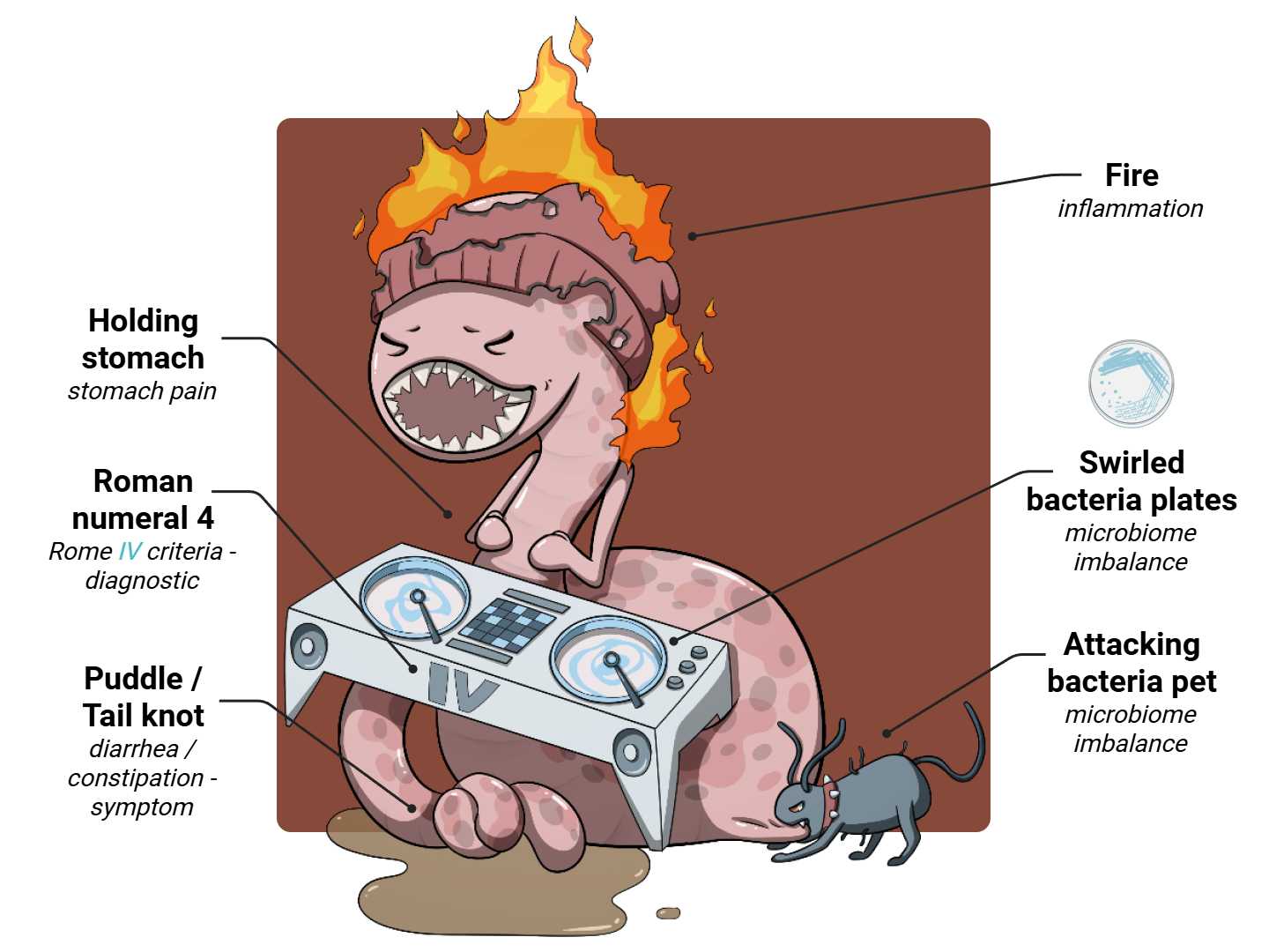 IBS Medimon infographic with labeled medical features and mnemonic annotations.