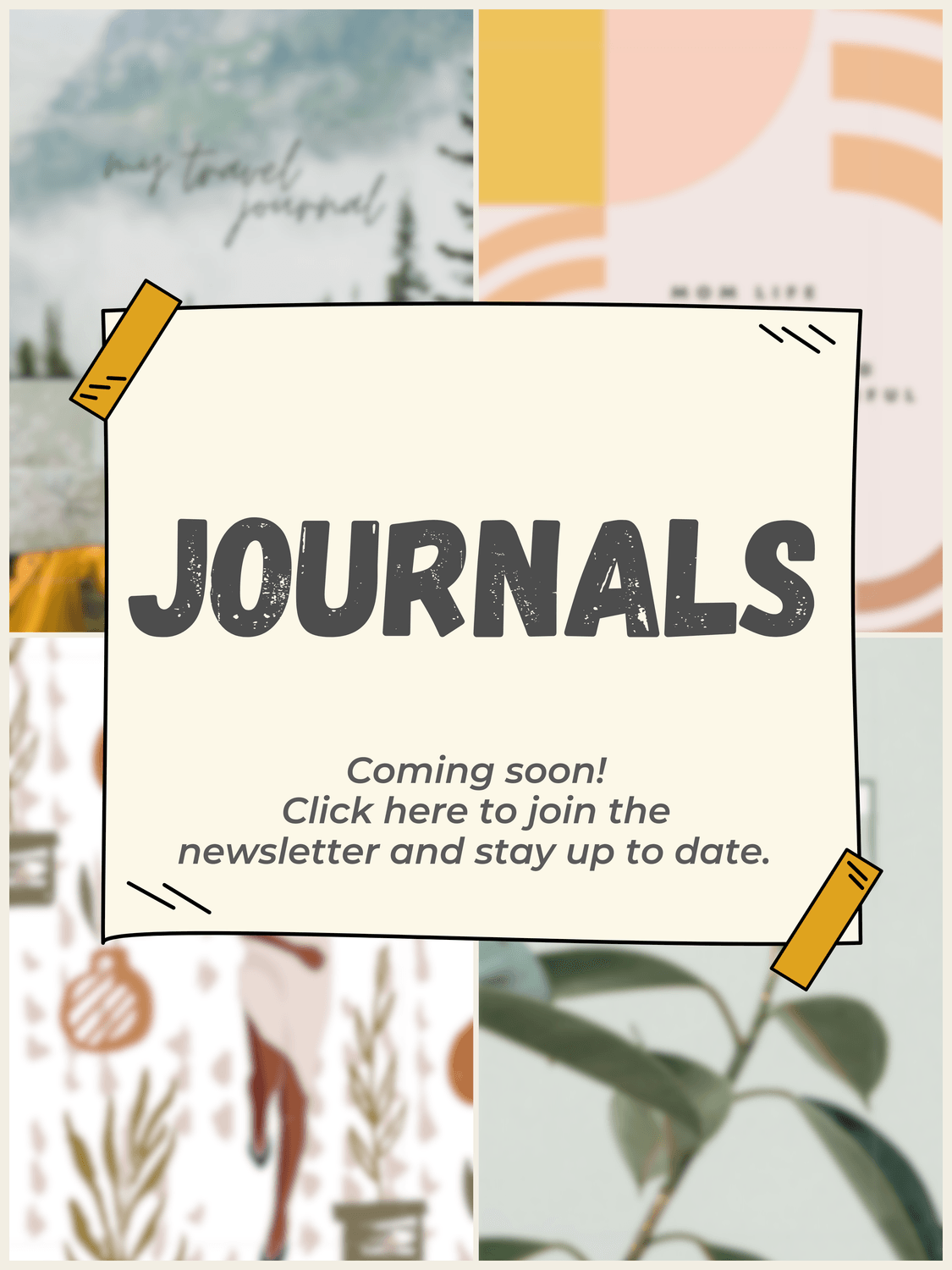 The Coloring Nook _ Newsletter