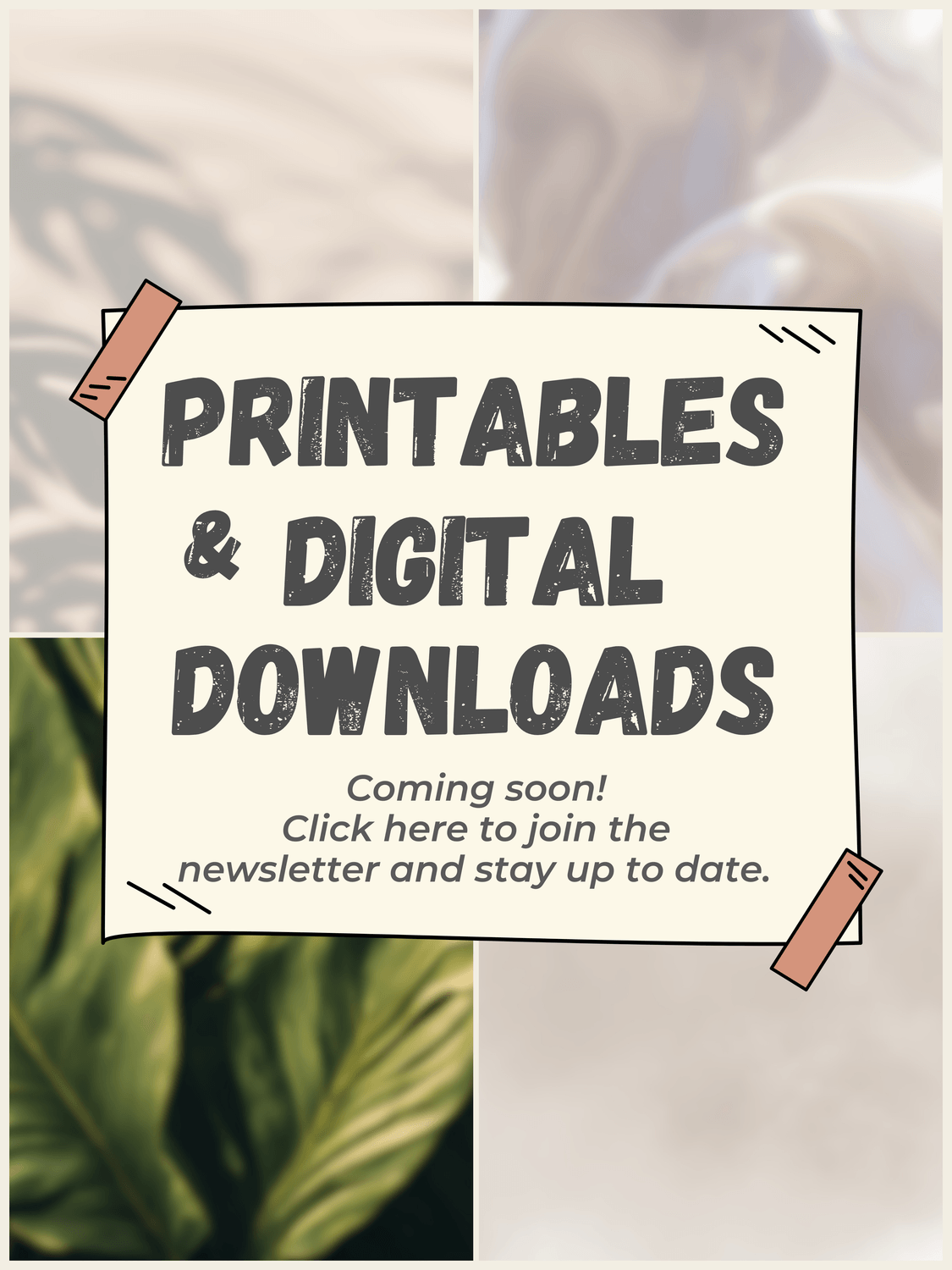The Coloring Nook _ Newsletter