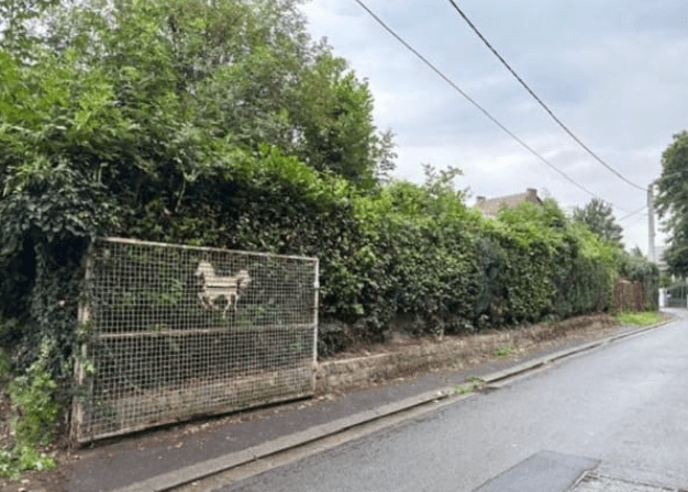 Antonio — Avant · État initial