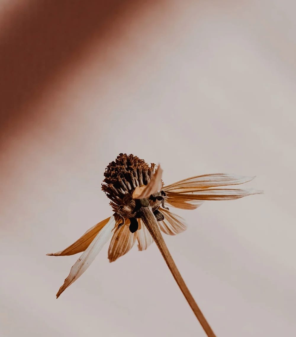 BRAND STRATEGY AND POSITIONING | Épure Advisory