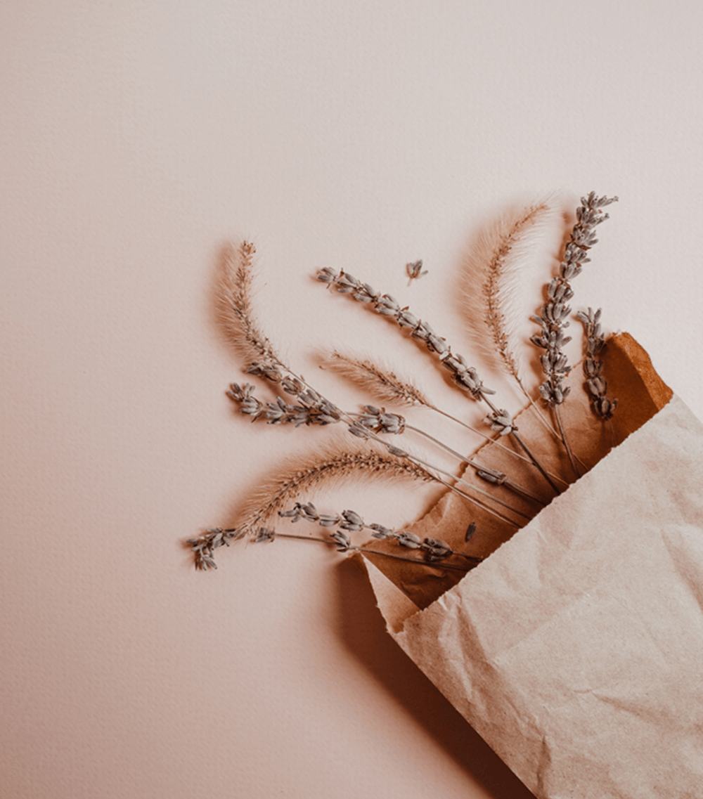 FRACTIONAL CMO LEADERSHIP | Épure Advisory