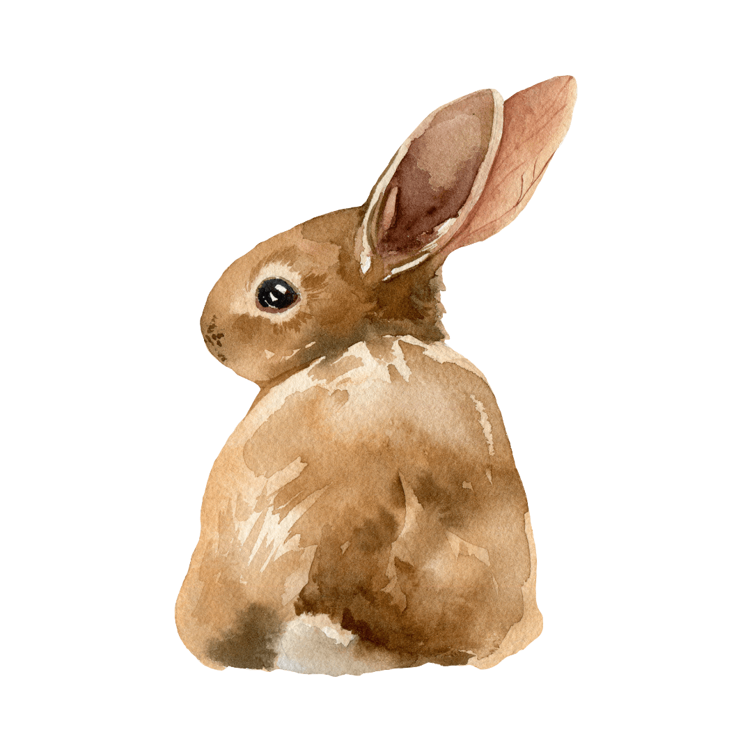 Bunny Icon