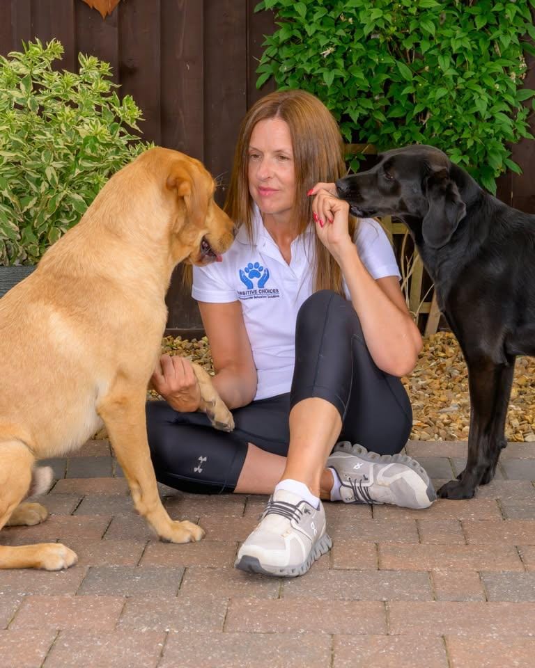 Pawsitive Choices dog training