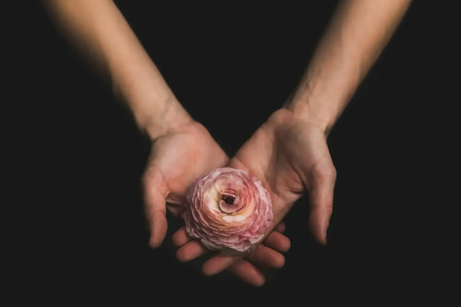 Flower in hands