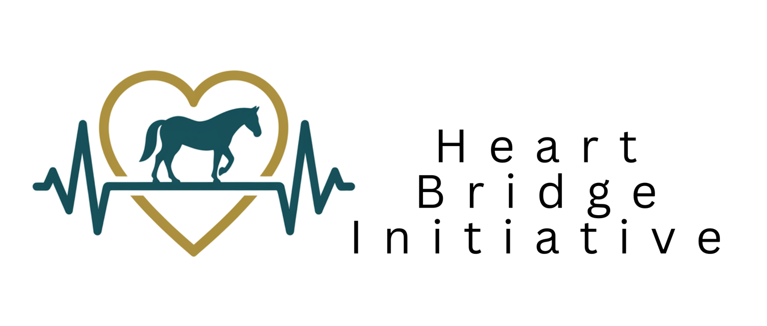 Heart Bridge Initiative