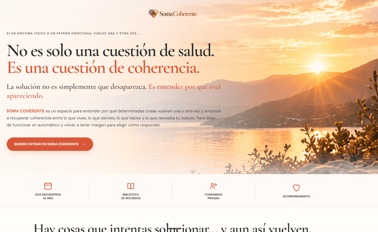 Web de Soma Coherente después