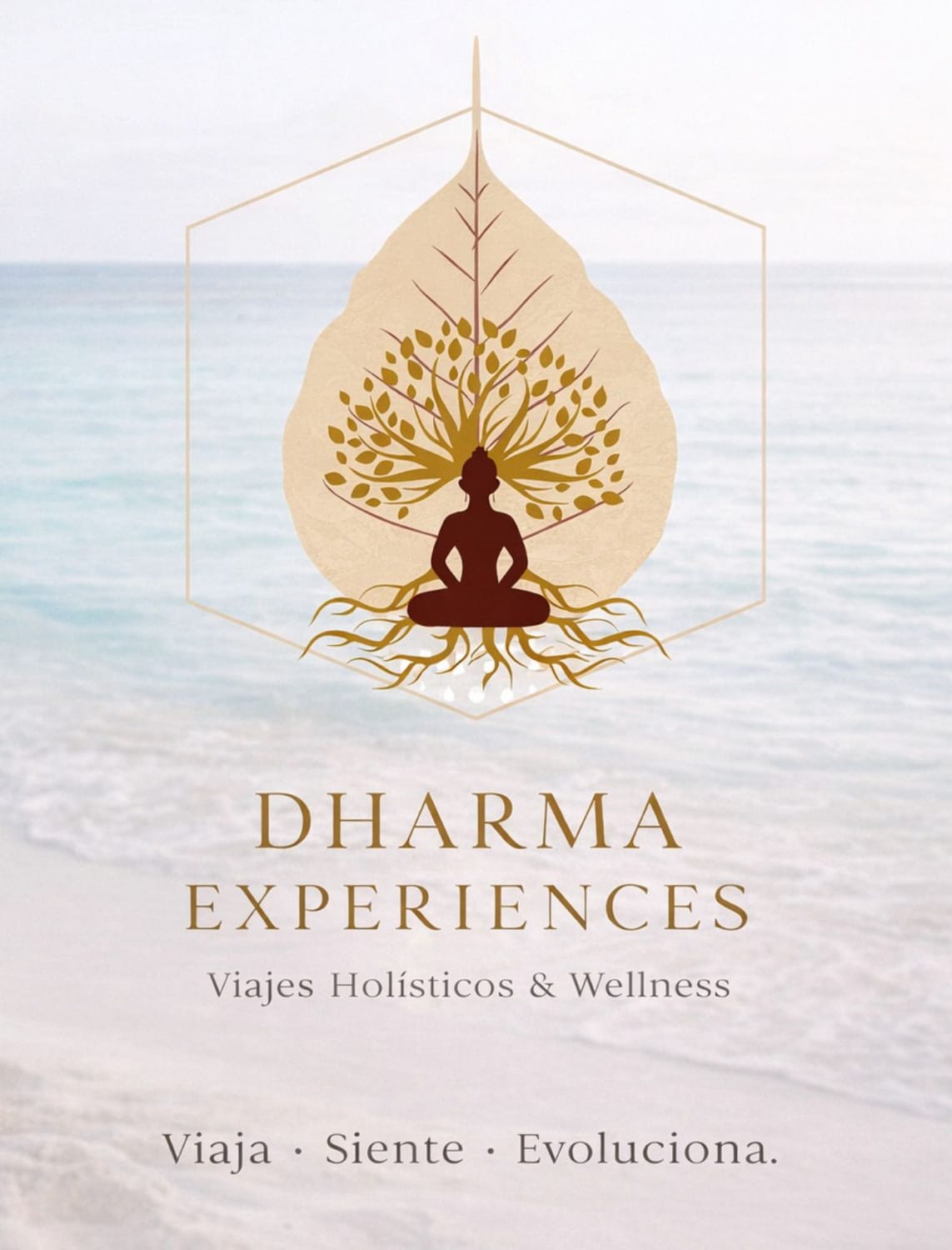 Dharma Experiences